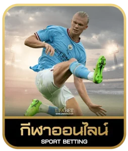 fin918เดิมพันกีฬา